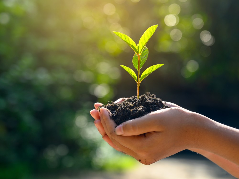 Fenntarthatóság Nestlé