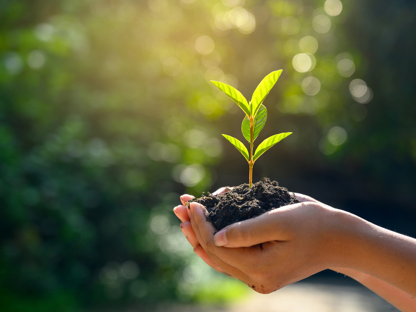 Fenntarthatóság Nestlé