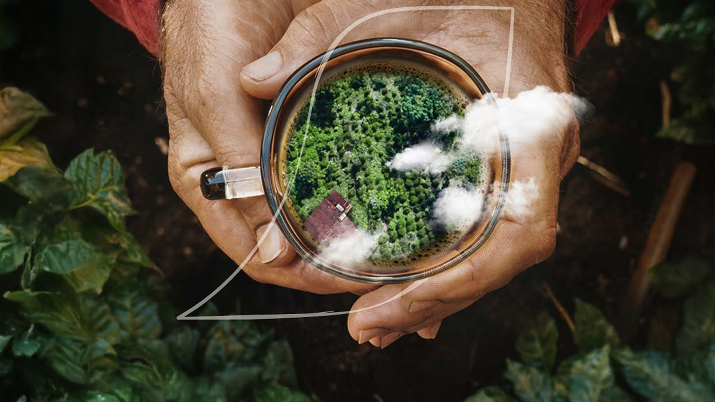 Fenntarthatóság Nescafé